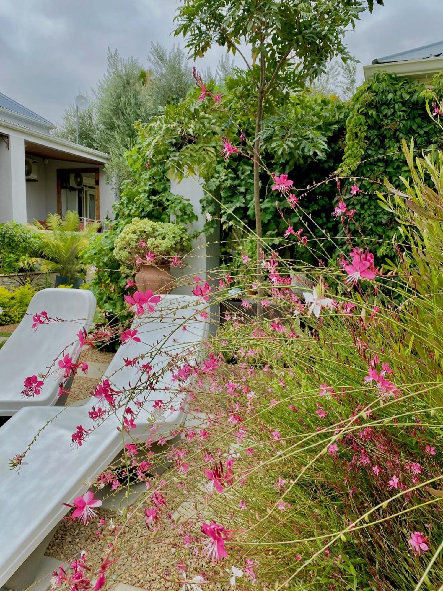 1 Royal Street Guesthouse Riebeek-Kasteel Exterior photo